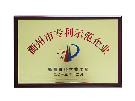 衢州市專(zhuān)利示范企業(yè)